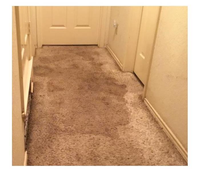 Water extraction from carpet