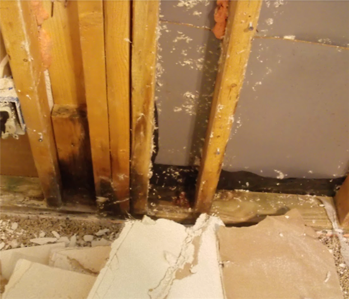 Water Damage in Walls