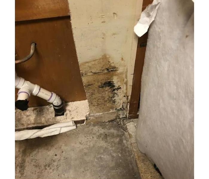 Mold Growth in Home
