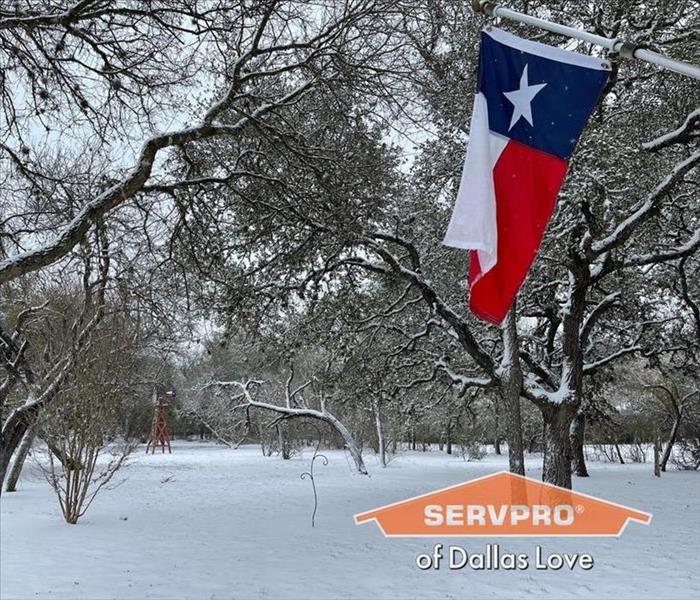 texas flag with snow