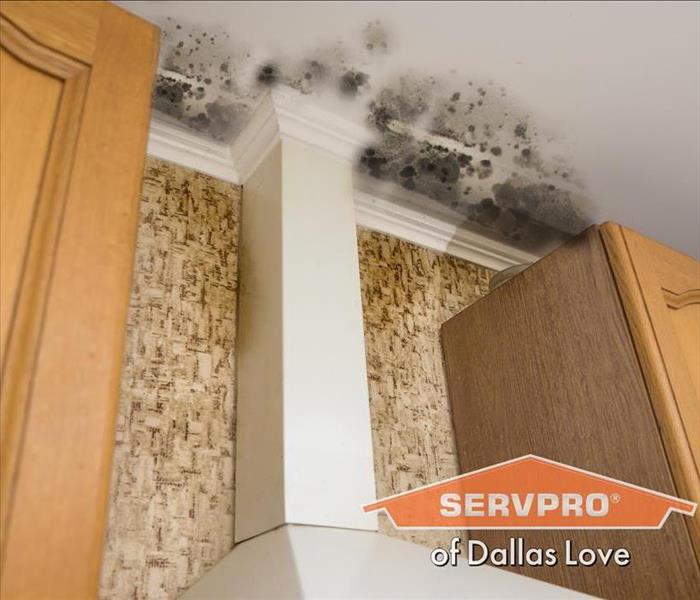 SERVPRO Detects Leaks at Your Home and Business